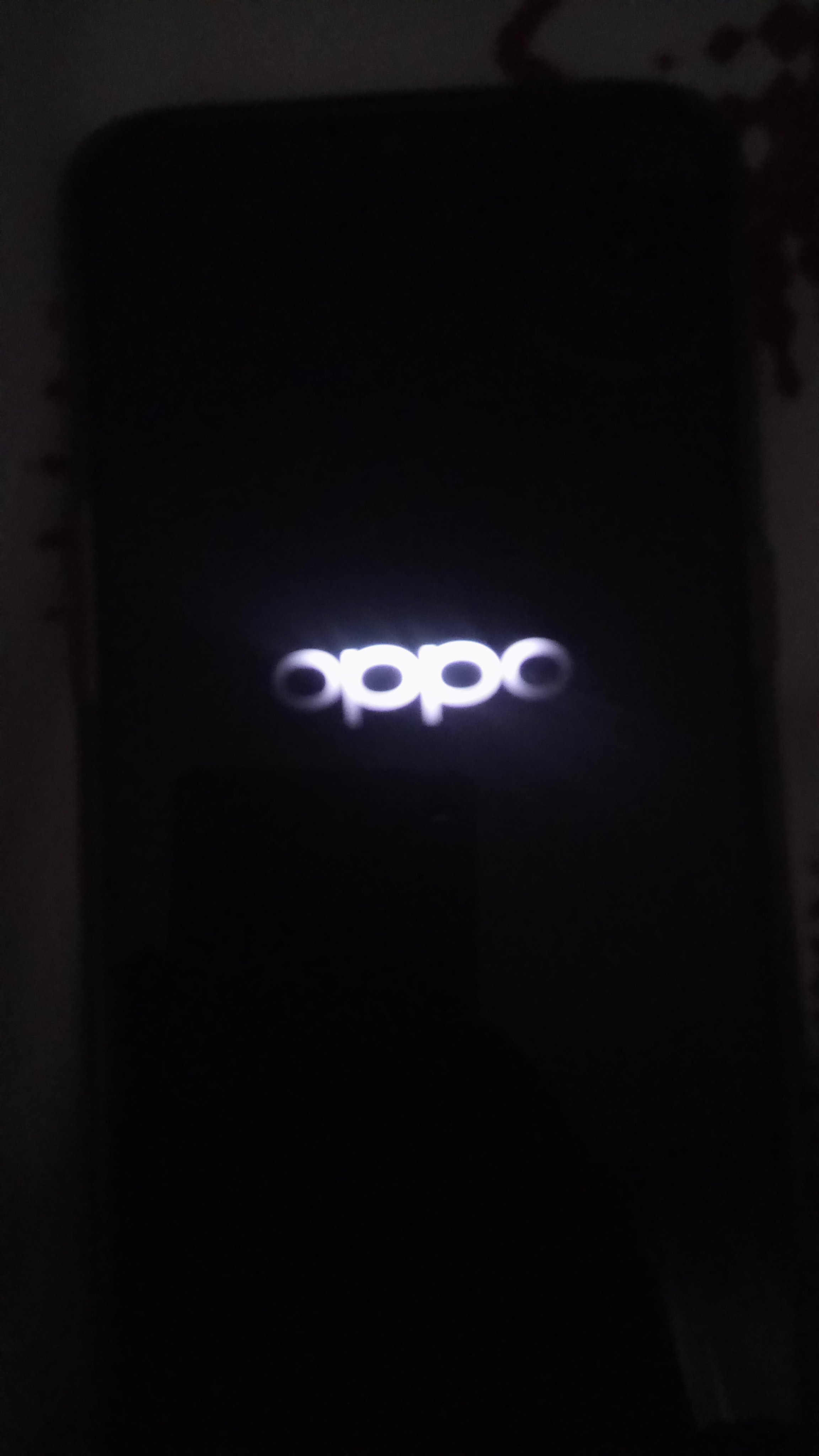 DSC_1106.JPG