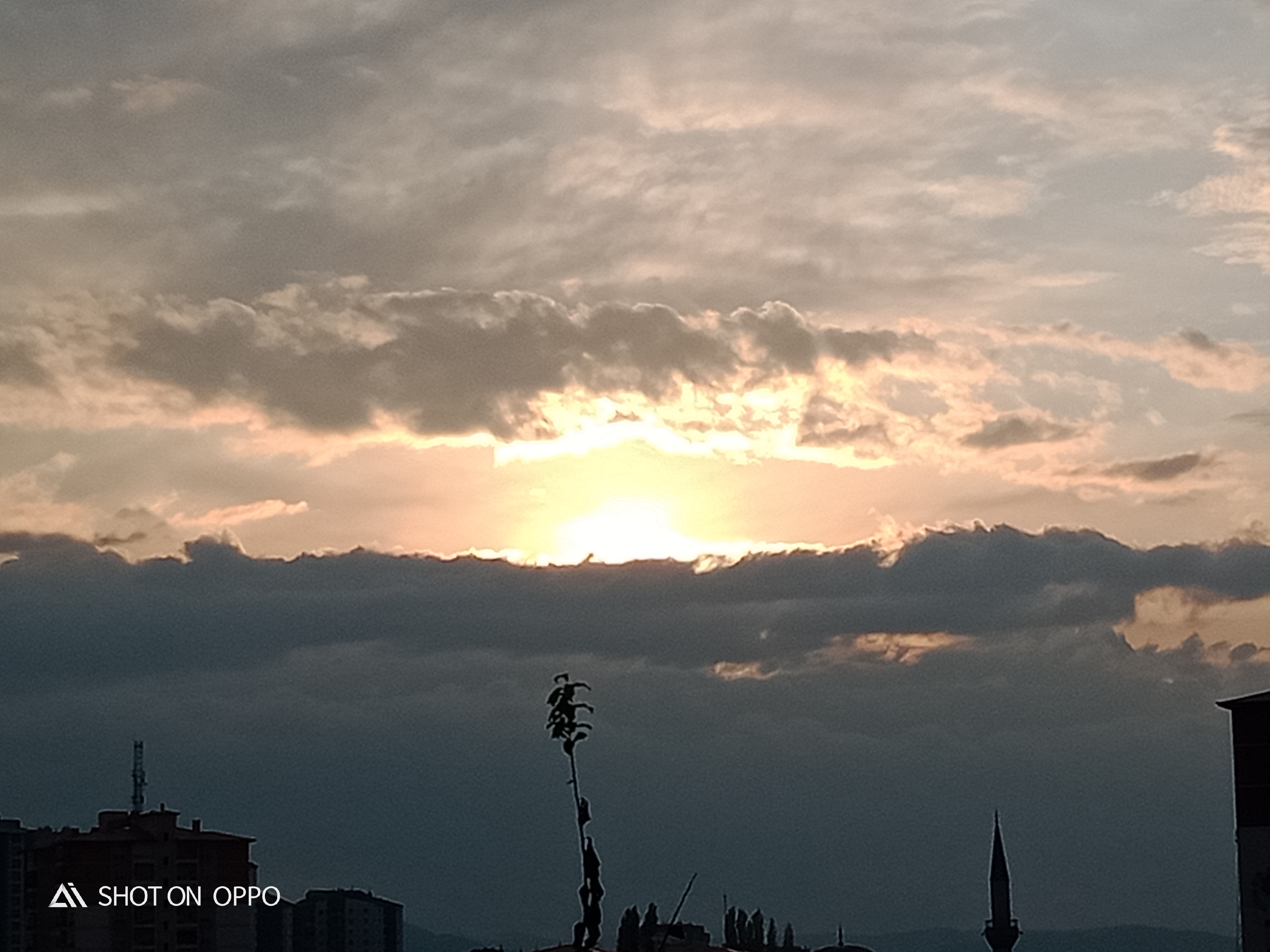 IMG20191028170721.jpg