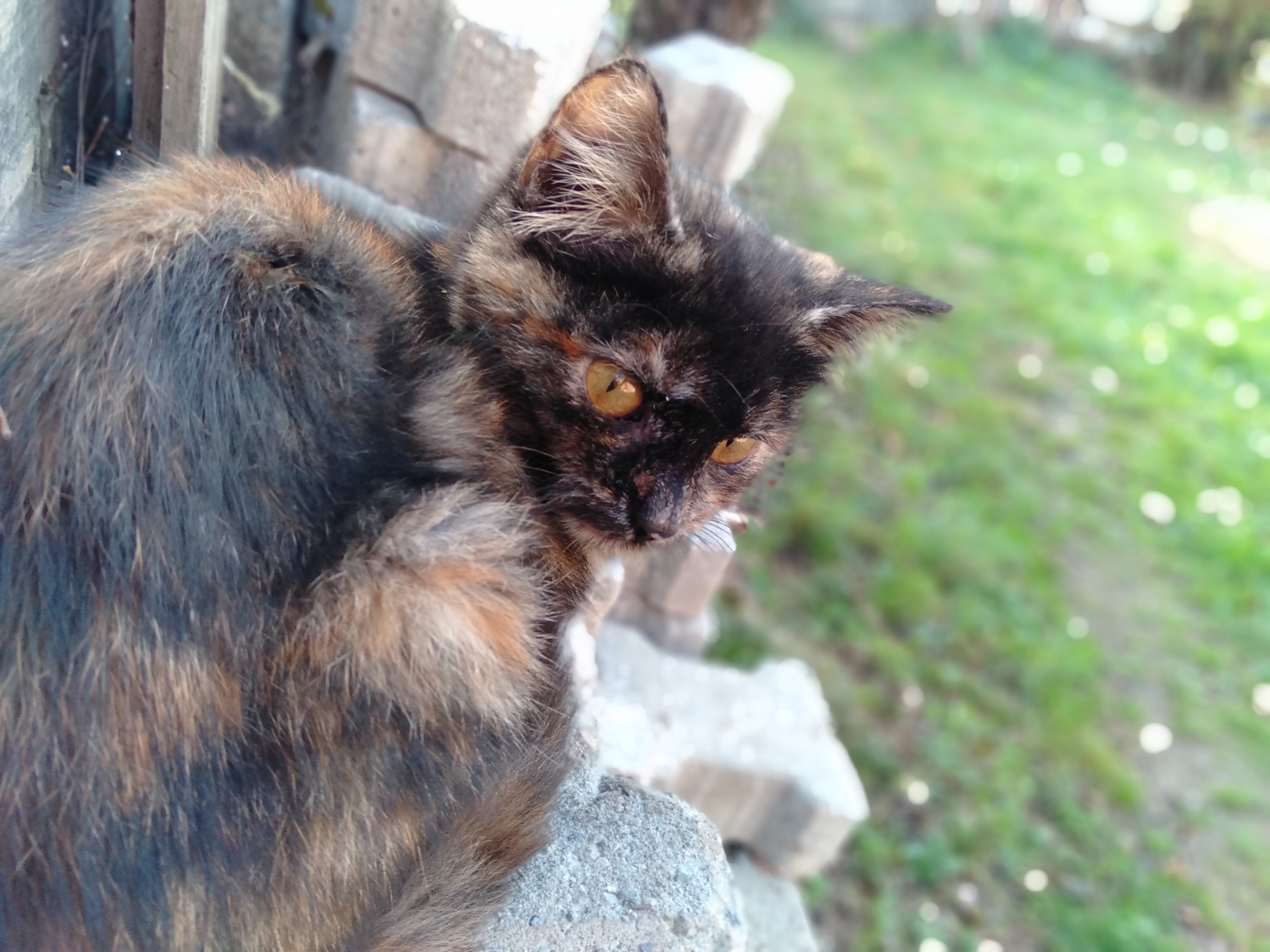 IMG20191116161316.jpg