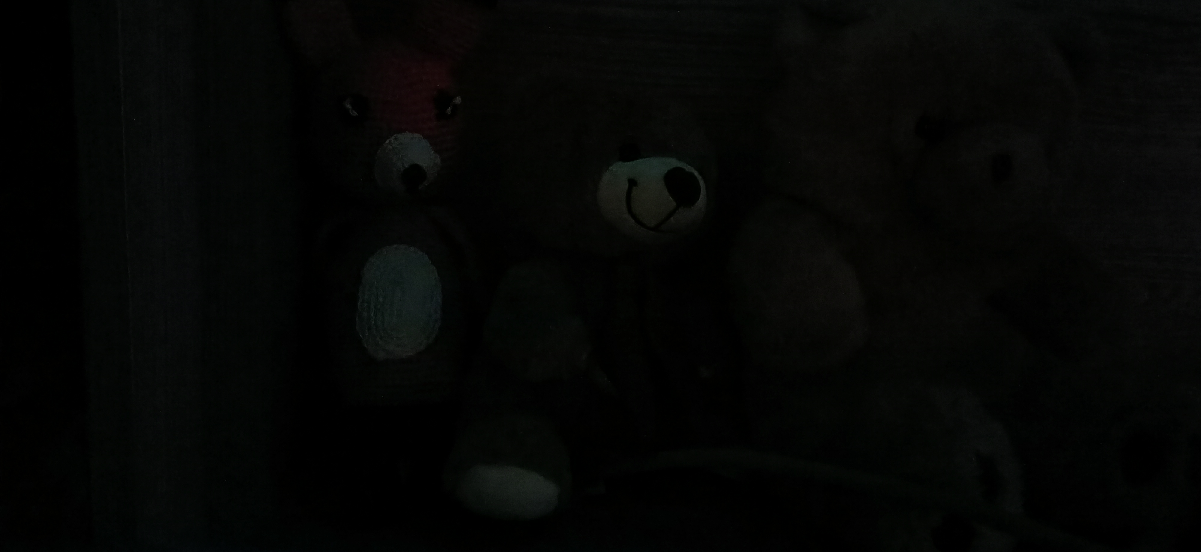 IMG20200328215615.jpg