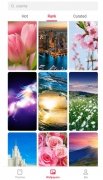 Theme Store image 1 Thumbnail